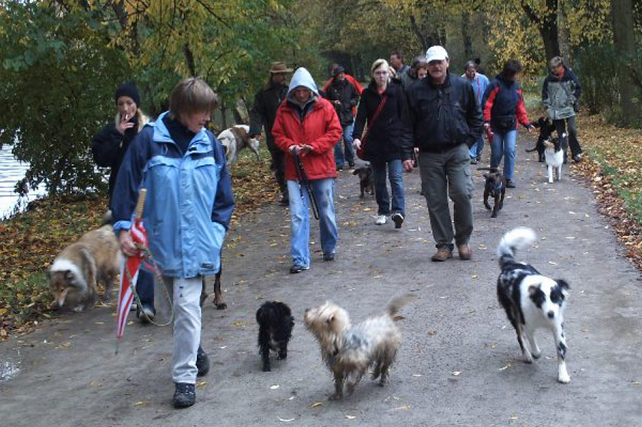 Connor auf einem Spaziergang mit den "Wilden Pfoten"