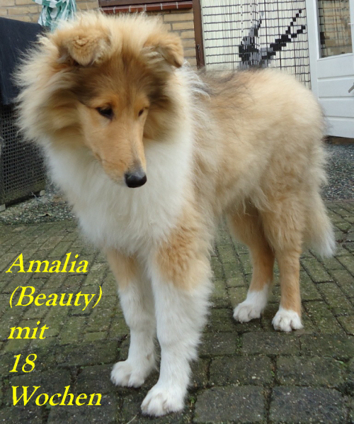 Amalia v.H. (Beauty)