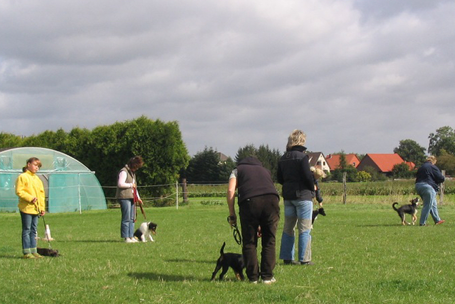 Connor mit Frauchen in der Hundeschule