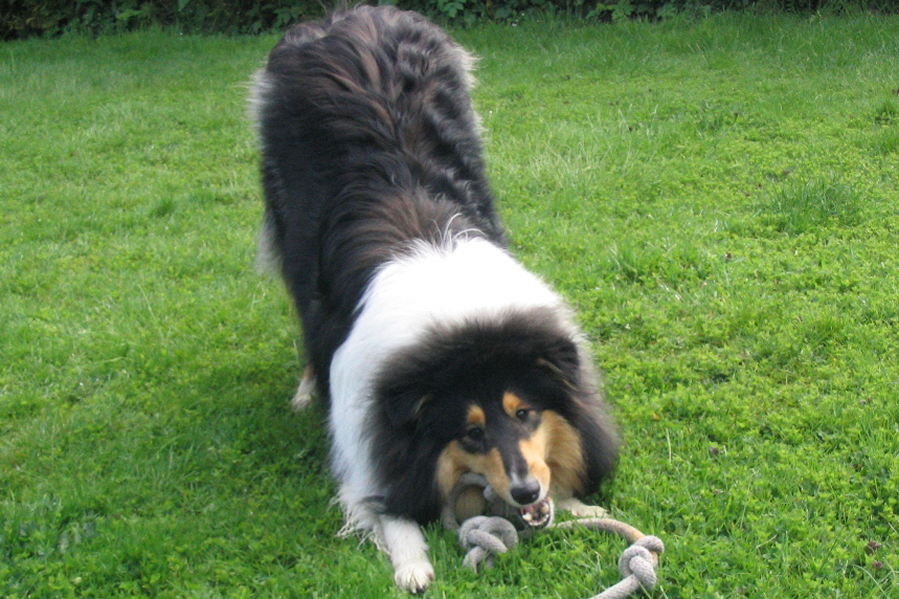 Connor, 1 Jahr alt