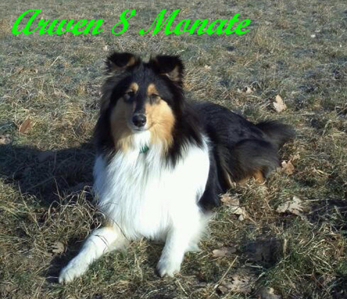 Arwen v.H.
