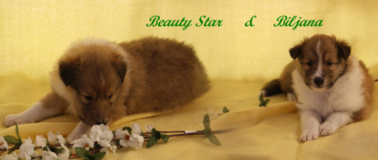 Beauty Star & Biljana Beauty Star & Biljana