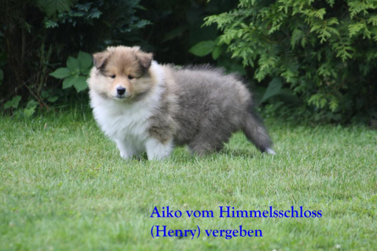 19-07-11Aiko 1 19-07-11Aiko 1