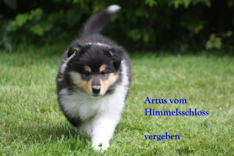 19-07-11Artus 1 19-07-11Artus 1