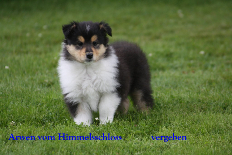 19-07-11Arwen 1 19-07-11Arwen 1