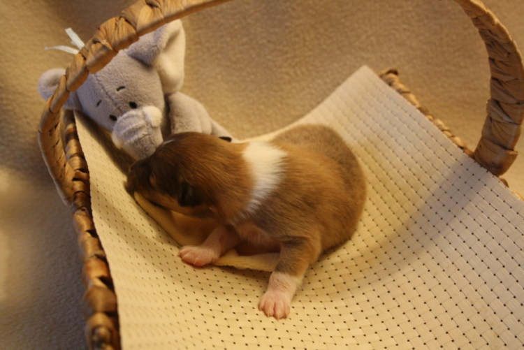22-2-12H�ndin1