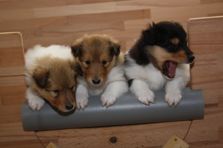 Wir haben uns schon mal die besten Pl�tze reserviert...