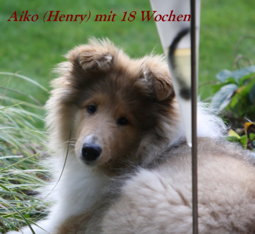 Aiko v.H.