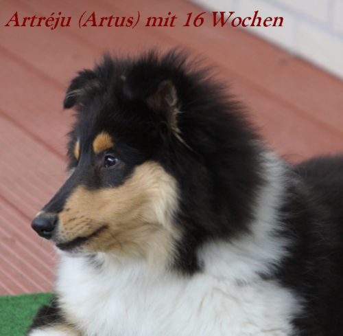 Artr�ju v.H. (Artus)