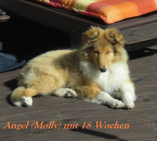 Angel v.H. (Molly)