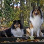 Connor und Mexx Connor und Mexx