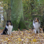 Connor und Mexx Connor und Mexx