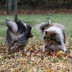 Connor und Mexx Connor und Mexx