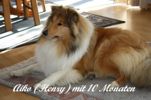 Aiko (Henry), 11.04.2012