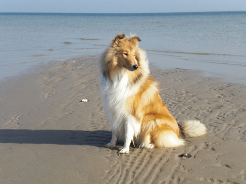 Angel (Molly), 03.04.2012