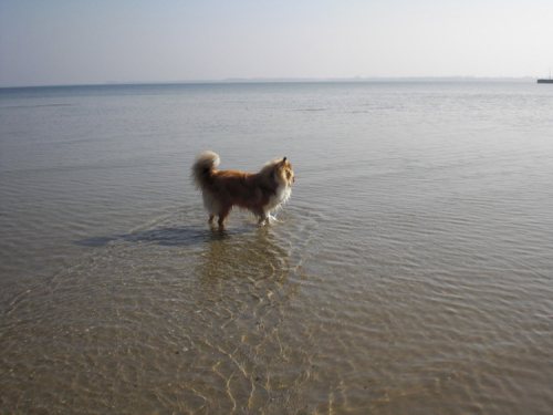 Angel (Molly), 03.04.2012
