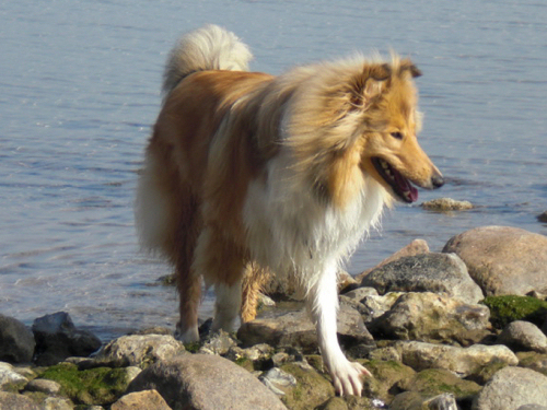 Angel (Molly), 03.04.2012
