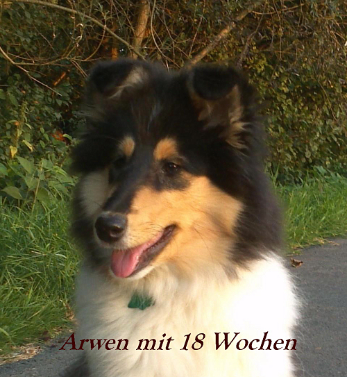 Arwen v.H.
