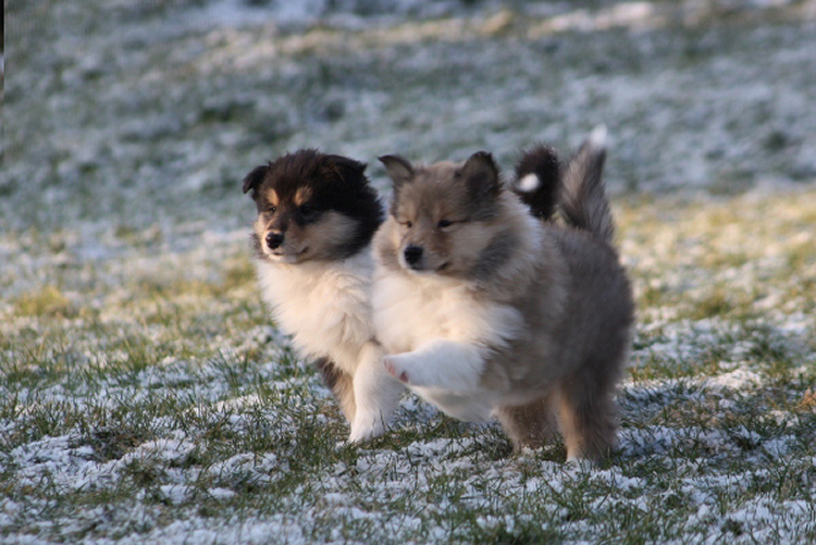 Jippie aeijey, was für ein herrlicher Wintertag! Jippie aeijey, was für ein herrlicher Wintertag!
