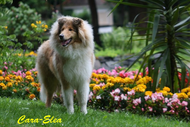 Cara2013-06-30_0901