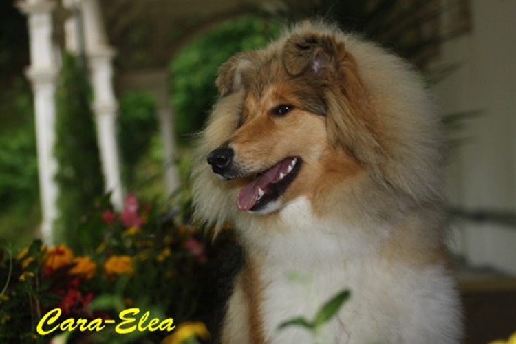 Cara2013-06-30_0921