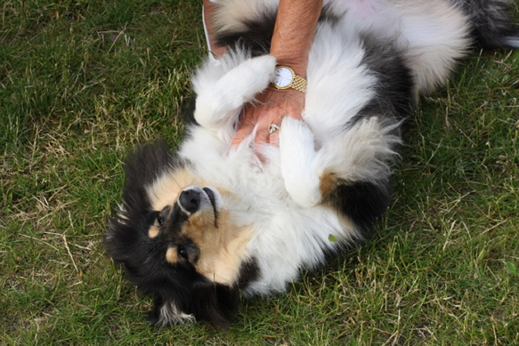 Chani2013-06-27_0851