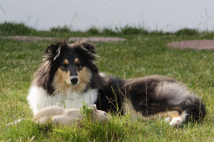 Chani2013-06-27_0853