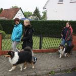 Collietreffen 05.05.2012