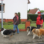 Collietreffen 05.05.2012