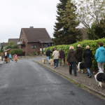 Collietreffen 05.05.2012
