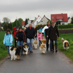 Collietreffen 05.05.2012
