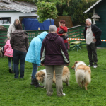 Collietreffen 05.05.2012