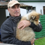 Collietreffen1_5588s
