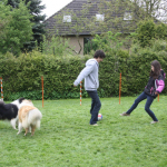 Collietreffen1_5604s