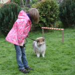 Collietreffen 05.05.2012