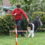 Collietreffen 05.05.2012