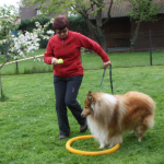 Collietreffen 05.05.2012