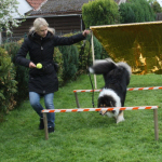 Collietreffen 05.05.2012