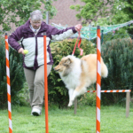Collietreffen1_5814s