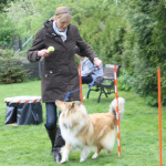 Collietreffen1_5829s
