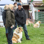 Collietreffen1_5868s