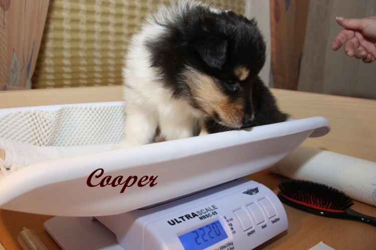 Cooper Cooper
