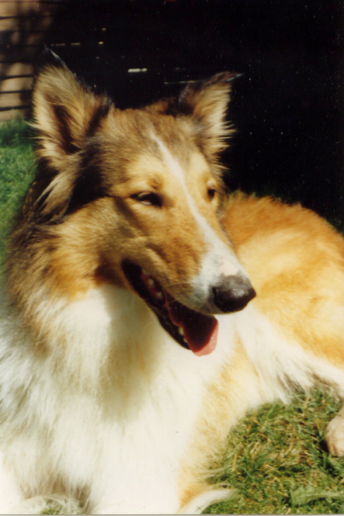 Fenja 01