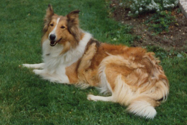 Fenja 02
