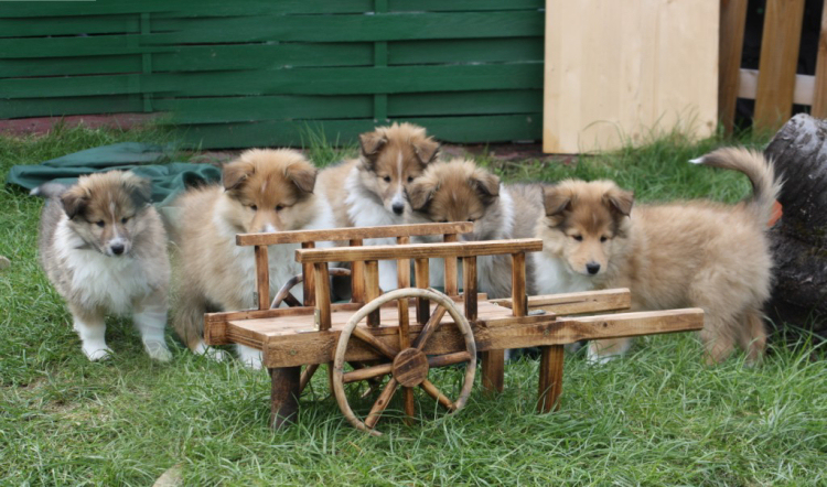 Gruppenfoto2 Gruppenfoto2