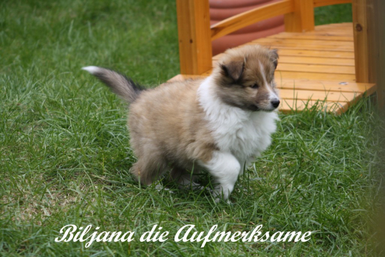 IMG_4762 IMG_4762