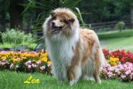 Lea im sch�nen Kurpark von Bad Berneck