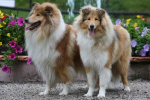 Cara-Elea & Lea im sch�nen Kurpark von Bad Berneck
