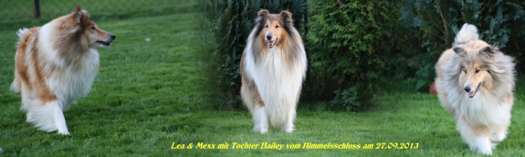 Lea, Mexx und Bailey