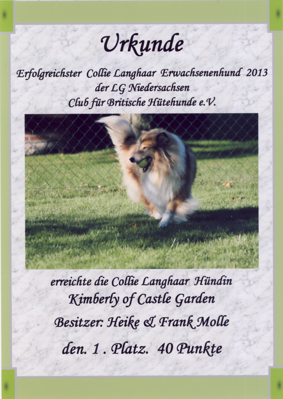 Lea Urkunde CfBrH 2013